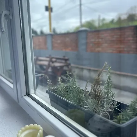 Apartmán Star Tuzla